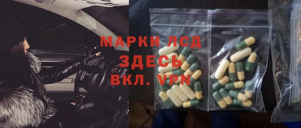 трава Аркадак