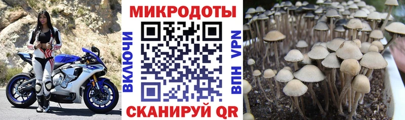Галлюциногенные грибы Magic Shrooms  Ступино 
